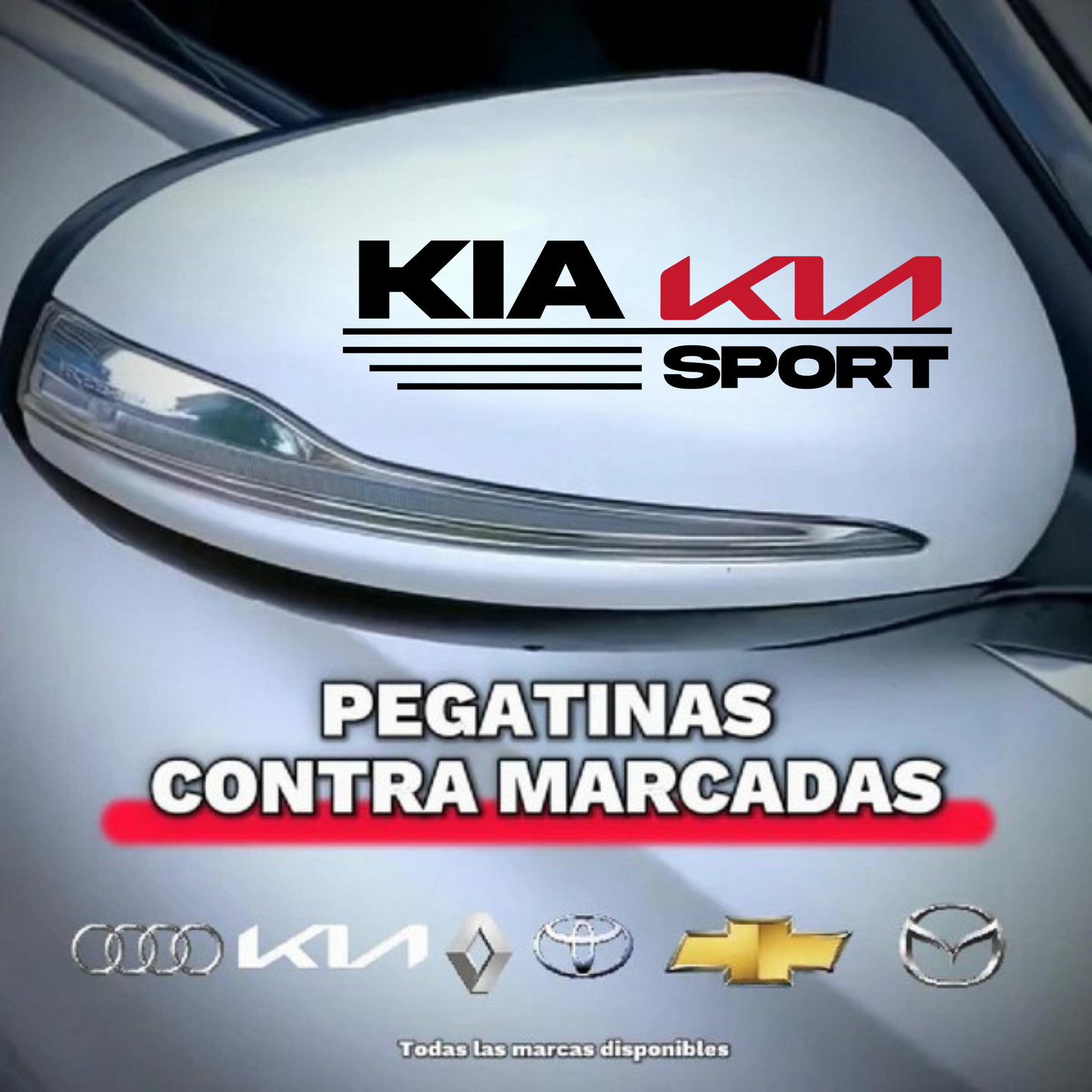 Pegatina para los retrovisores x 2 Unidades