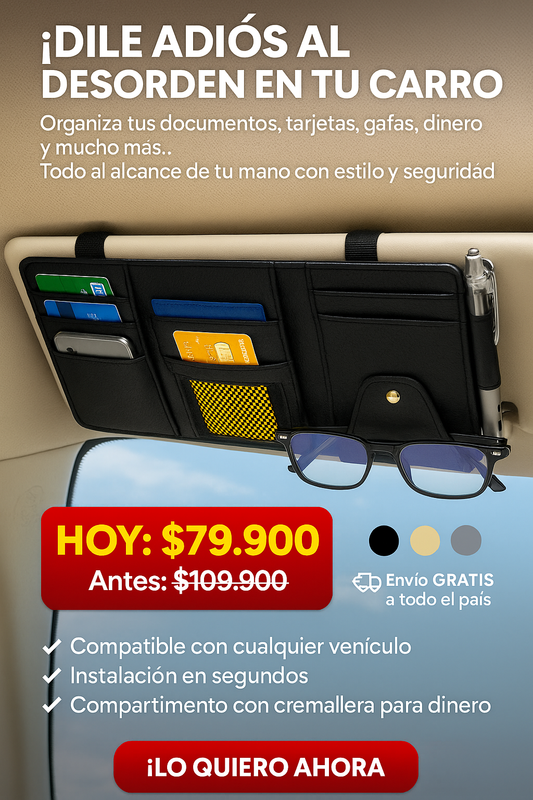 Organizador de vicera para coche