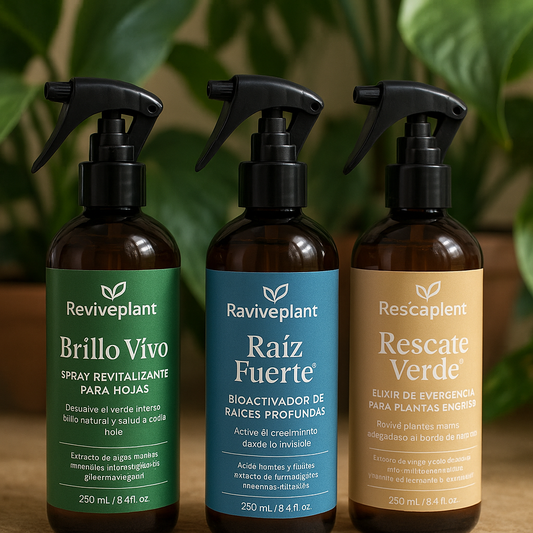 KIT REVIVEPLANT